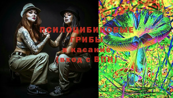 соль ск Мегион