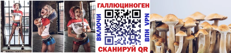 Псилоцибиновые грибы ЛСД  где можно купить наркотик  Ульяновск 