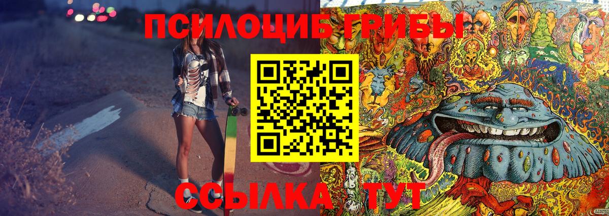 Ульяновск  Псилоцибиновые грибы Psilocybine cubensis  Вход с VPN 