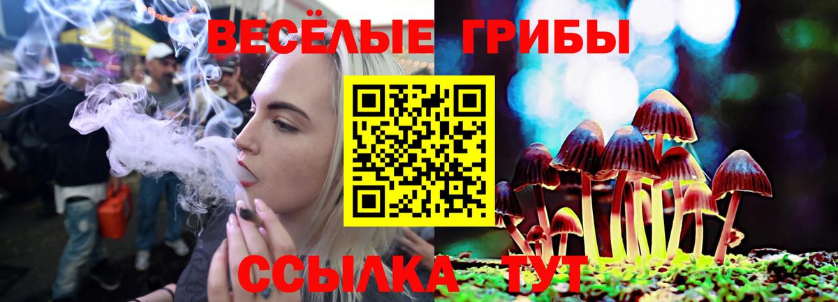 Галлюциногенные грибы MAGIC MUSHROOMS Ульяновск